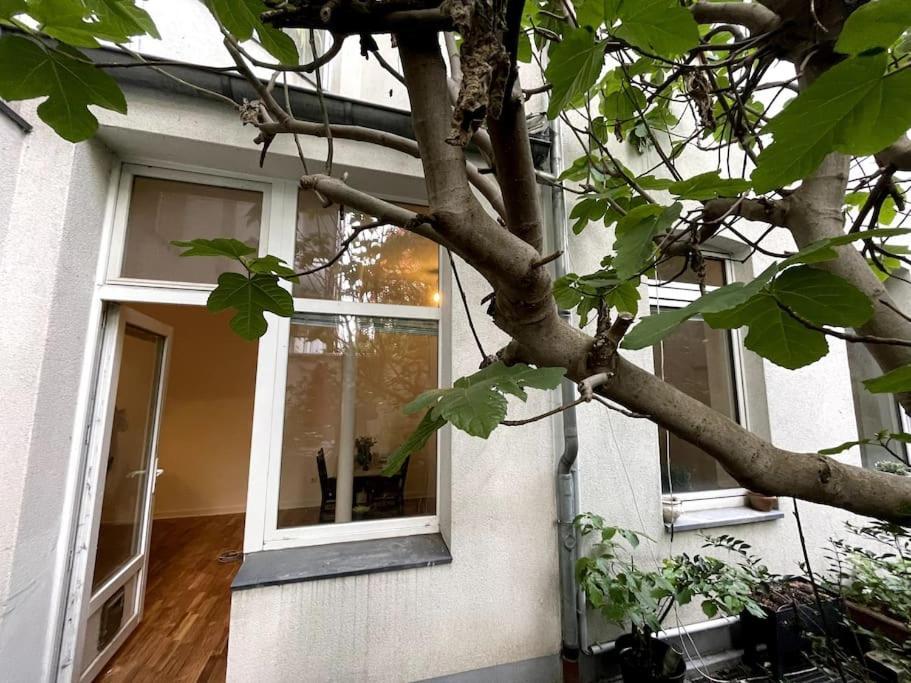 Cosy & Central Flat Near Duesseldorf Center Экстерьер фото